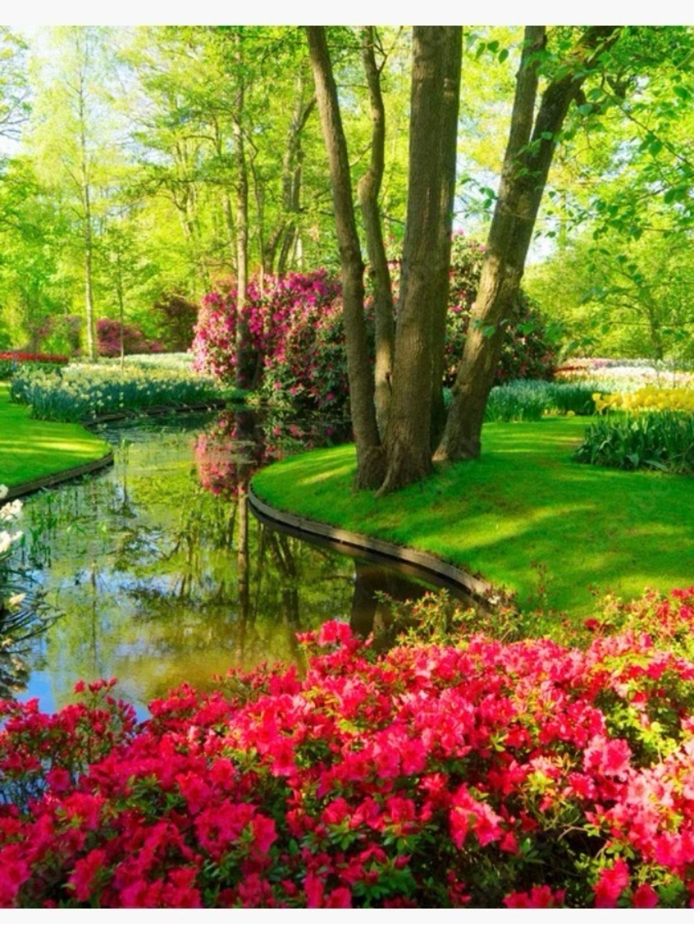 BUYER’S APPRECIATION